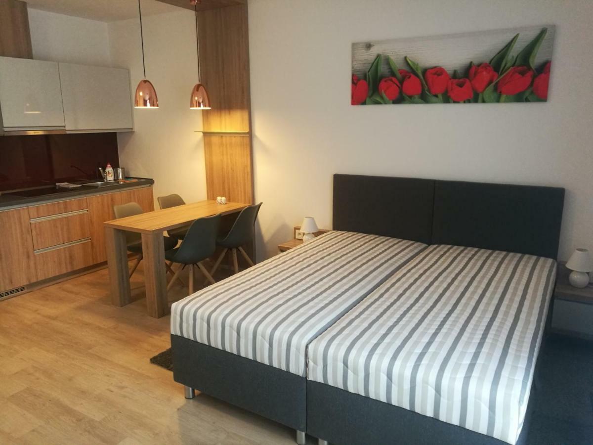 Apartmany Sport Dolní Morava المظهر الخارجي الصورة